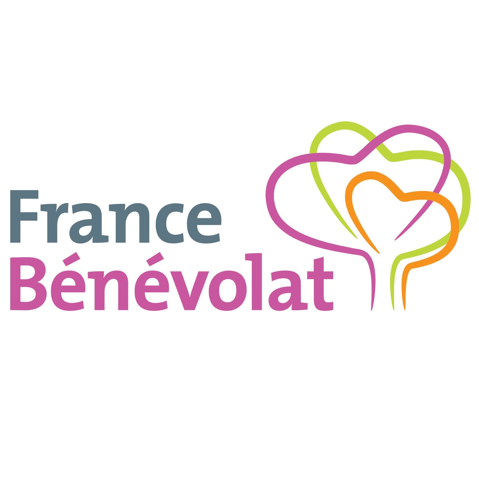 logo de France Bénévolat - Le Mouvement associatif Sud PACA