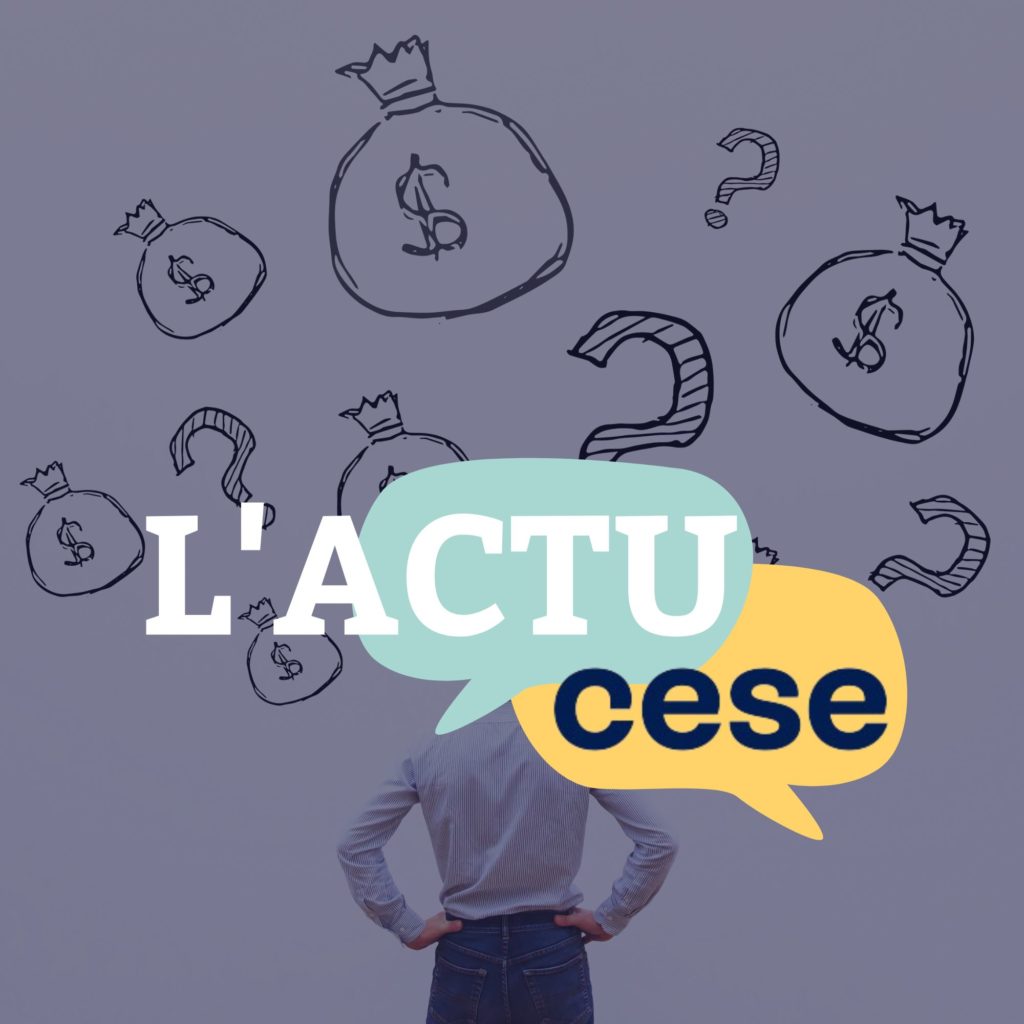 L'actu CESE - image de mise en avant de l'article